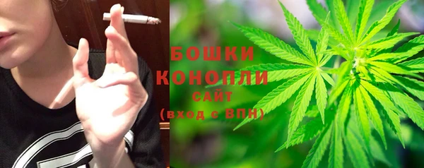 PSILOCYBIN Белоозёрский
