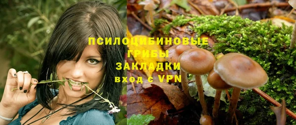 амф Богданович