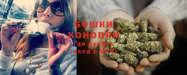PSILOCYBIN Белоозёрский