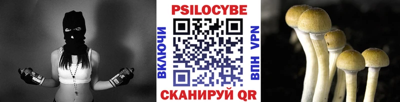 Галлюциногенные грибы мицелий  kraken ССЫЛКА  Мензелинск 